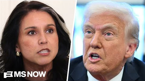 Trump gives new reason why Gabbard was at FBI raid