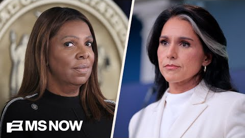EXCLUSIVE: New York AG Letitia James addresses Trump attacks, calls on states to stand up to ICE