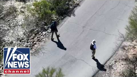 'EXTREME AMOUNT OF EFFORT': Inside efforts to find Nancy Guthrie