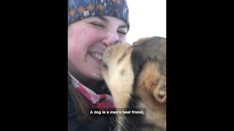Inside the world of sled dog racing