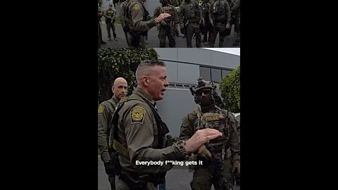 ICE is arresting US citizens for 'impeding' their operations