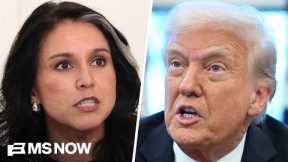 Trump gives new reason why Gabbard was at FBI raid