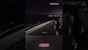 Caught horsin’ around: Mini horse Oreo’s midnight adventure