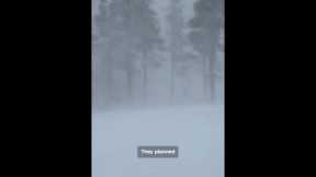 California avalanche victims identified