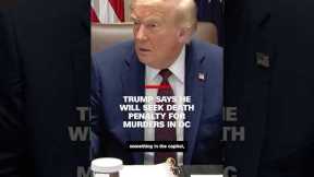Trump says he will seek death penalty for murders in DC