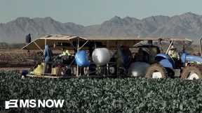 From War to Your Wallet: How Farmers Are Getting Crushed by Rising Costs