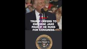 Trump offers to endorse Jake Paul if he runs for Congress