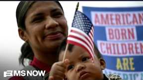 ‘As American as apple pie’: Democratic lawmaker on birthright citizenship