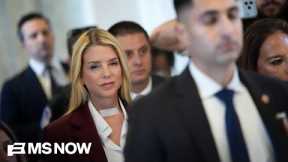 ‘The most egregious cover up in American history’: Lawmaker on Bondi hearing, Epstein files