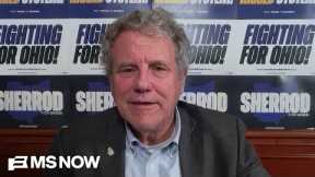 Sherrod Brown wins Ohio Democratic Senate primary