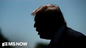 Detained family, taken from school bus stop, exposes the harsh reality of Trump's immigration policy