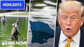 'Puke green' water, peeling paint & 'authoritarian' arrests muddy Trump’s $14M reflecting pool plans
