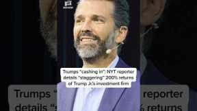 Trumps 'cashing in': NYT reporter details 'staggering' 200% returns of Trump Jr.'s investment firm