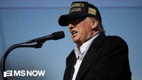 Election expert sounds alarm on Trump's election agenda