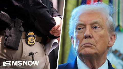 Trump’s deportation agenda catching ‘grandmas and gardeners’, not worst-of-the-worst: Dem Rep.