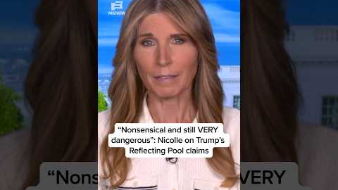'Nonsensical and still VERY dangerous': Nicolle on Trump's Reflecting Pool claims
