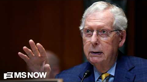 McConnell’s Senate absence is ‘prime example’ of why Congress needs term limits: Marine Corps Vet