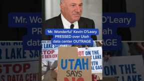 'Mr. Wonderful': Kevin O'Leary PRESSED over Utah data center OUTRAGE