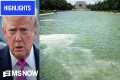 'Truly SHOCKING' Watch MS NOW's