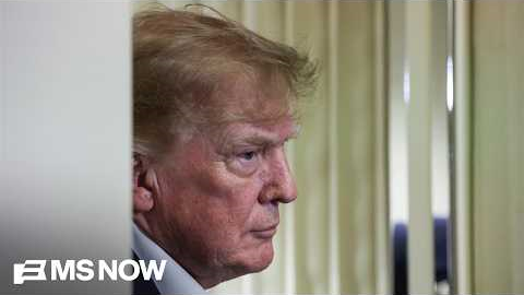 'DESPERATE' Trump loses Supreme Court mail voting ruling which may 'embolden' him, Judge Luttig says