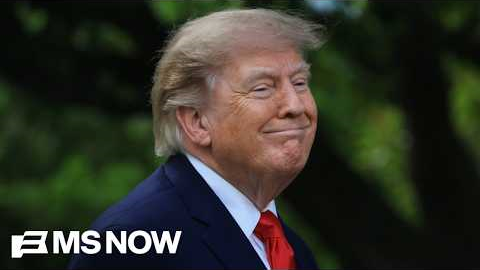 'Leading Republicans over a cliff': Trump a 'MASSIVE' problem for GOP heading into midterms