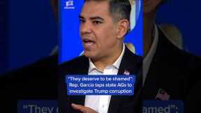 'They deserve to be shamed': Rep. Garcia taps state AGs to investigate Trump corruption