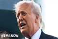 GOP PANIC setting in over midterms as 